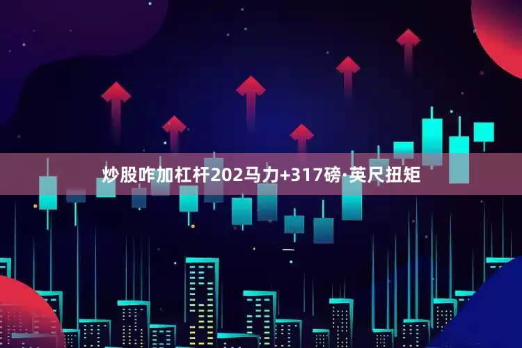 炒股咋加杠杆202马力+317磅·英尺扭矩